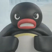 PINGUS